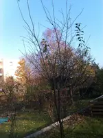 IMAG0736.webp