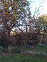 IMAG0738.webp