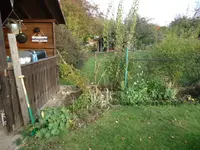 DSC00836.webp