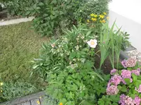 IMG_7000.webp