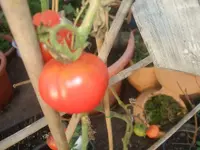 k-DSCF0008.webp