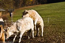 13.11.11 (92 von 218).webp