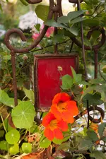 Bild_02.webp
