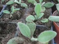 k-DSCF0024.webp