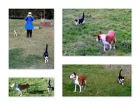 Copy of Spaziergang.webp