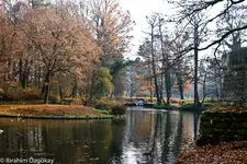 14.11.11 (84 von 179).webp