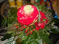 DSCN1079.webp