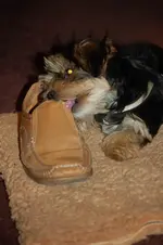 mmmmhh, legga , ich liebe dich schuh.webp
