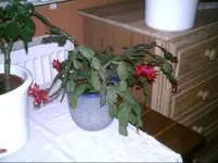 PIC01120.webp