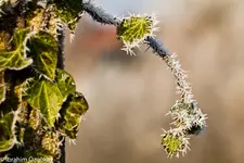 16.11.11 (14 von 83).webp