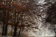 16.11.11 (50 von 83).webp