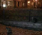 abendrunde-mit-dina02.webp
