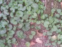 2011-09-23 13.55.32.webp