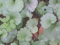 2011-09-23 13.55.50.webp