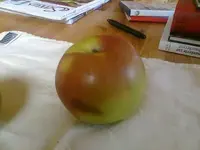 Apfel1.webp