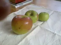 Apfel2.webp
