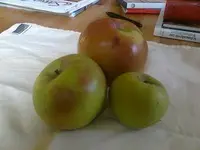 Apfel4.webp