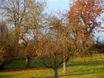 ObstgartenHerbst1551.JPG