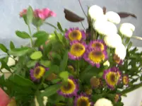 BILD0009.webp