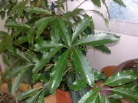 05112011145.webp