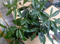 05112011146.webp