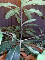 20112011149.webp
