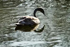 19.11.11 (88 von 176).webp