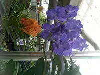 24.08.10 037.webp