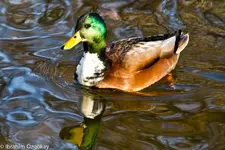 21.11.11 (37 von 68).webp