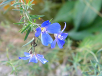 k-1DSCN1173.webp