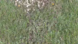 052.webp