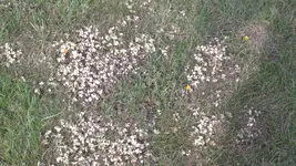 051.webp