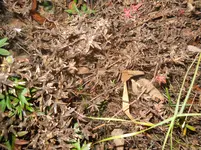 DSCN1070.webp