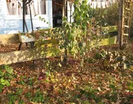Garten_Mitte_Nov (2).webp