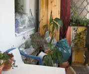 Balkon_winter.webp