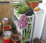 Balkon_winter (2).webp