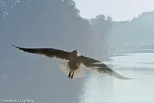 Überblendung.webp