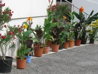 IMG_0006.webp