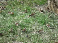 IMG_0145.webp