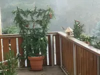 k-DSCF0036.webp