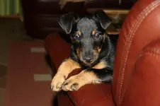 Branko 23.11 (6).webp