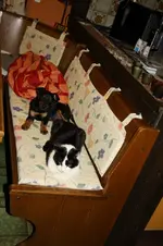 Branko und Meeko.webp