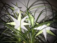 IMG_20111125_163722.webp