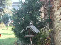 DSCF0359.webp