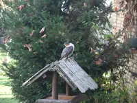 DSCF0365.webp