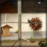 comp_DSC09197.webp