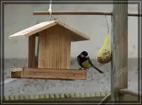 comp_DSC09204.webp