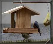 comp_DSC09209.webp