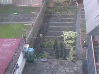 Bussard im Garten 002.webp