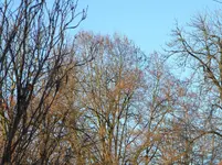 DSCN1208.webp